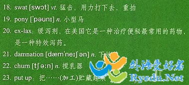 在夏天英文，在夏天英文怎么说