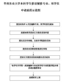 双学位是什么