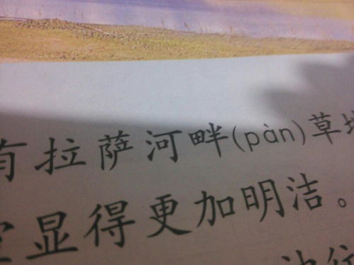 脑畔的意思，脑畔的意思和造句
