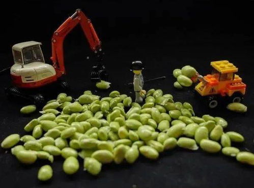 毛豆怎么剥