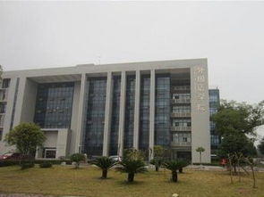 中南大学外国语学院的师资队伍
