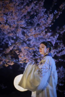 如花美眷,似水流年