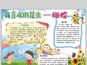昆虫记手抄报内容