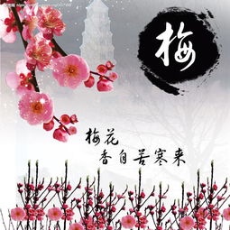 关于梅的诗句古诗