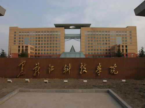 黑龙江科技大学官网，黑龙江科技大学官网网站