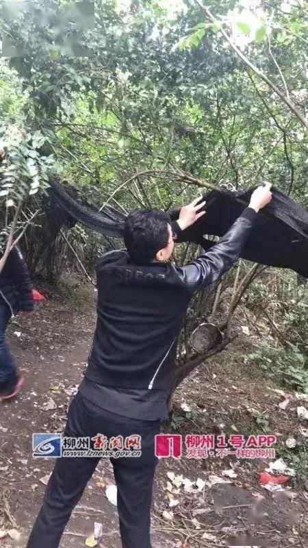 都爱吃黑森林蛋糕,但你知道真实的黑森林有多美吗?