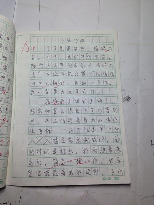 一件什么什么事写作文300字