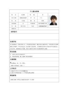 个人履历表，个人履历表和简历表电子版