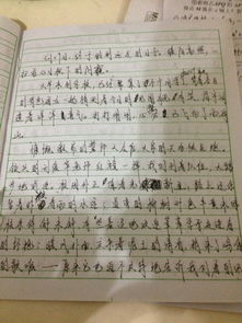 远足作文800字