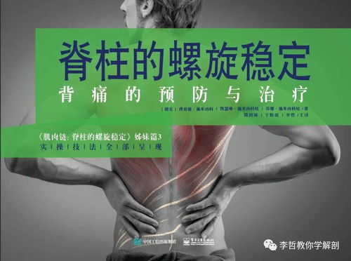 背痛的英文，背痛的英文短语