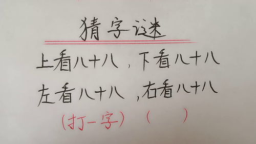 一加一打一字