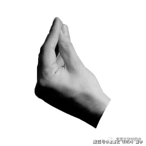 意大利人的手势