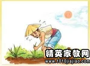 揠苗助长告诉我们什么道理