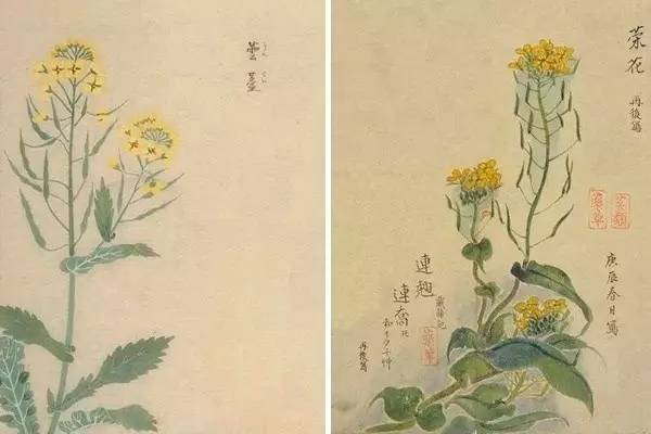 篱落疏疏一径深树头花落未成阴的意思是什么