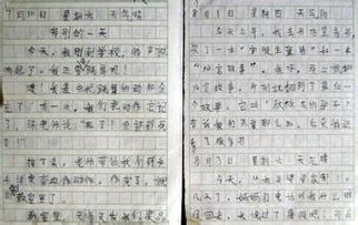军训小结500字作文，军训小结500字作文大全