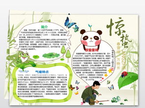 二十四节气的手抄报内容