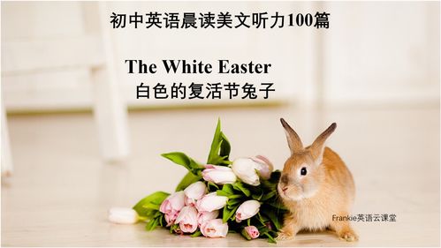 复活节兔子英语，复活节兔子英语怎么写