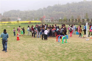 山羊过独木桥-六年级-议论文