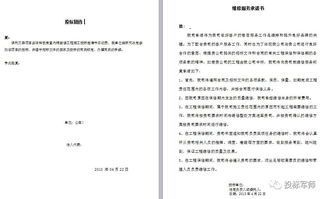 投标人承诺书，投标人承诺书应该怎么填