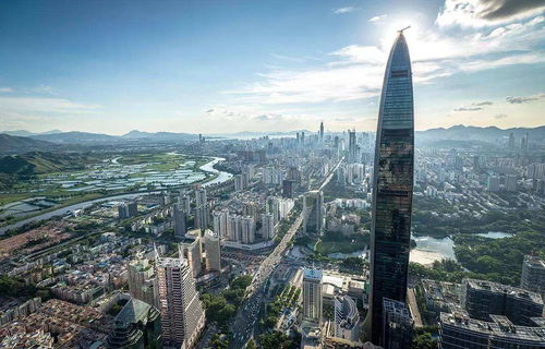 深圳移民，深圳移民城市
