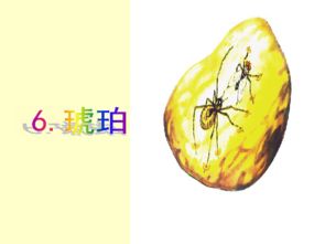 课文《琥珀》教案