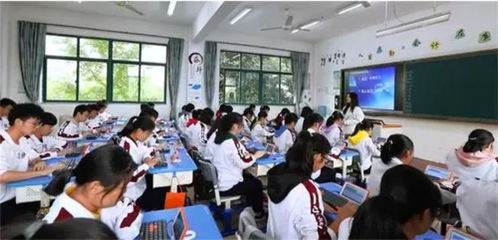 职高是什么意思