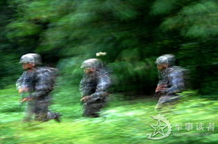 动如脱兔是什么意思