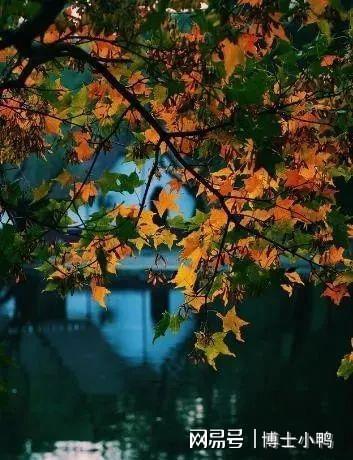 一场秋雨一场寒是什么意思?