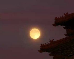 晚安的诗句，晚安的诗句唯美