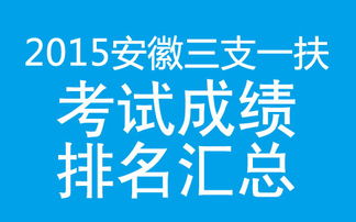 芜湖市人事考试网，芜湖市人力资源考试网