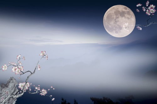 家乡的中秋节，家乡的中秋节作文