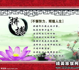 教育名言名句经典摘抄有哪些?