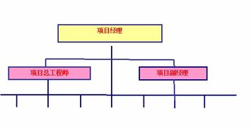 某施工项目的项目管理组织机构,职能分工及工作流程图