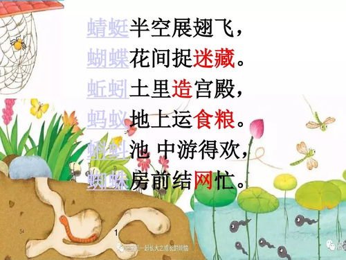 小动物儿歌顺口溜