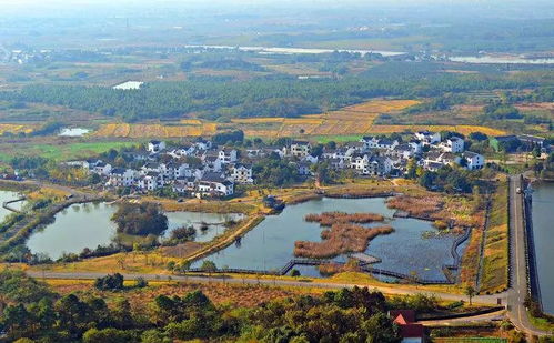 高淳旅游景点大全 七大高淳旅游景点