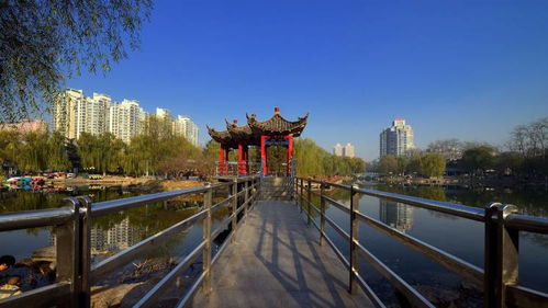 谜语 大家都笑你 打一城市名