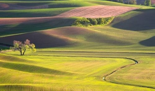 什么的田野怎么填?