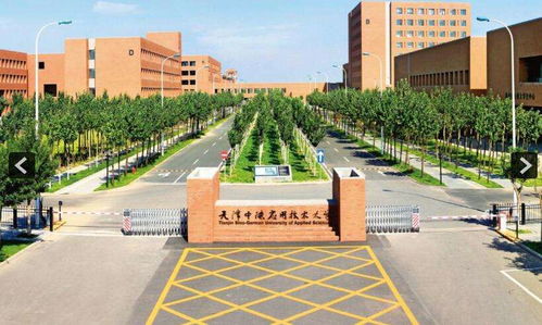 天津中德应用技术大学分数线
