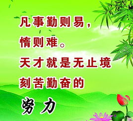 小组名称和口号