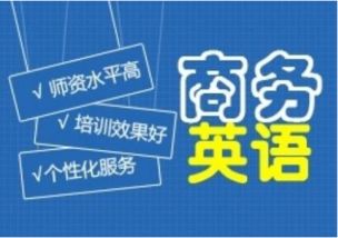 上海外国语大学商务英语都学什么?