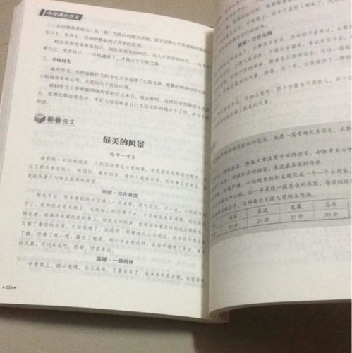 全国高考满分作文800字10篇