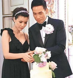 娱乐圈里公认的模范夫妻有哪些呢?你最喜欢哪一对呢?