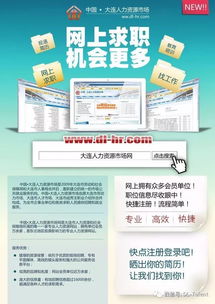 大连去哪个网站找工作