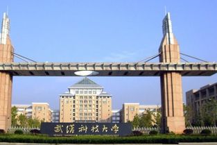 武汉科技大学是211吗