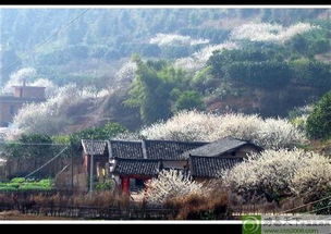 未来15天天气预报