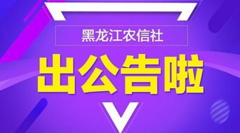 齐齐哈尔招聘，齐齐哈尔招聘2023