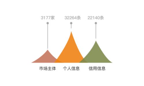 全国水利建设市场监管平台，全国水利建设市场监管平台上线