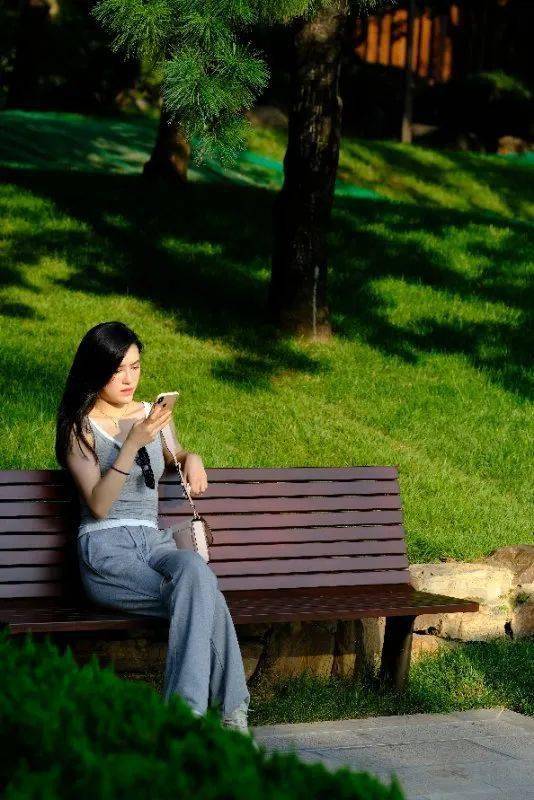 和平鸽课文的作者是谁