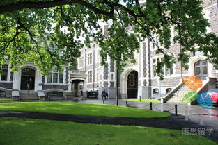 梅西大学世界排名