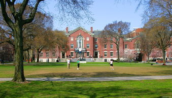 布朗大学，布朗大学世界排名